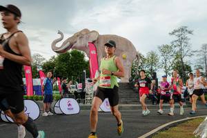 BIB: 
                            <button type="button" onclick="openModal(26528270)" class="btn btn-primary btn-sm float-right btn-popup" data-toggle="modal" data-target=".modal-high-quality">
                        <i class="fas fa-shopping-cart"></i> Add to Cart
                    </button>
                                            <button type="button" onclick="isThisMe(26528270, true)" class="btn btn-success btn-sm float-right btn-popup btn-isme hidden" data-toggle="tooltip" data-placement="bottom" title="นี่คือรูปของคุณใช่ไหม คลิกที่นี่เพื่อเอาเข้าอัลบั้ม">
                        <i class="fas fa-plus"></i> Add to album
                    </button>
                    <button type="button" onclick="isThisMe(26528270, false)" class="btn btn-warning btn-sm float-right btn-popup btn-isnotme hidden">
                        <i class="fas fa-ban"></i> Remove from album
                    </button>